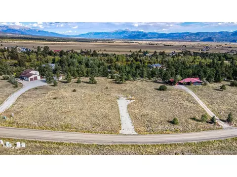 13647 County Road 261 A, Nathrop, CO 81236