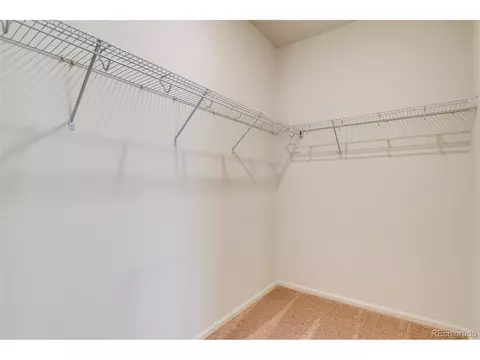 1237 Lily Mountain Rd, Windsor, CO 80550 photo 15
