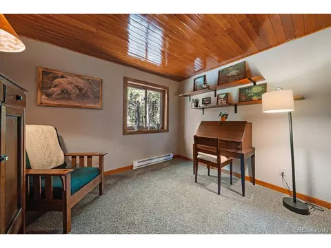 Other - 13183 S Piute Dr, Pine, CO 80470 photo 7 of 13