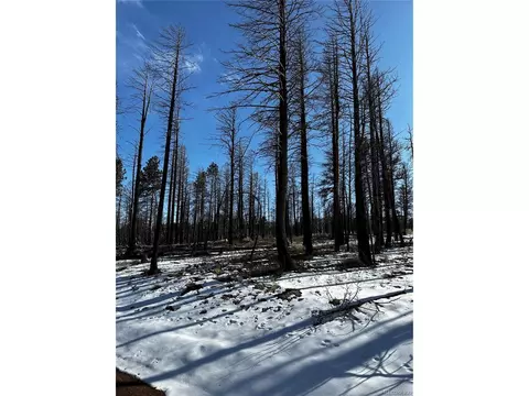586 Leslie Loop, Fort Garland, CO 81133