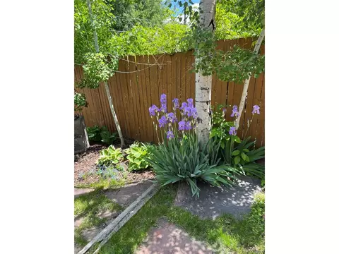 2718 Java Ct, Denver, CO 80211 photo 37