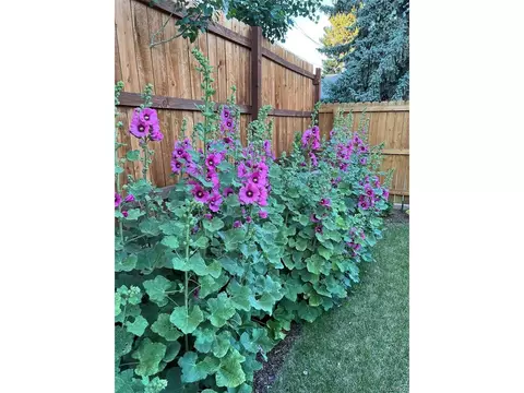 2718 Java Ct, Denver, CO 80211 photo 36