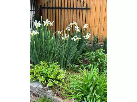 2718 Java Ct, Denver, CO 80211 photo 33