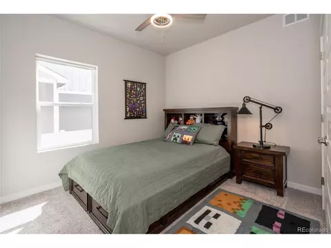 1143 Ibex Dr, Severance, CO 80550 photo 9