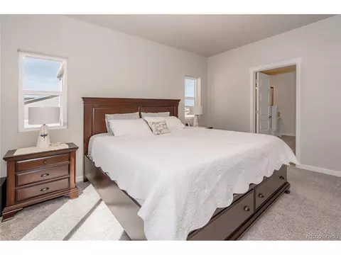 1143 Ibex Dr, Severance, CO 80550 photo 12