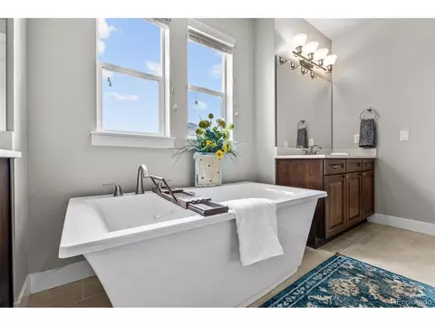 8120 S Kellerman Cir, Aurora, CO 80016 photo 27