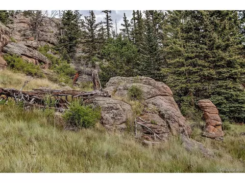 60 Kiua Ln, Como, CO 80432 photo 28