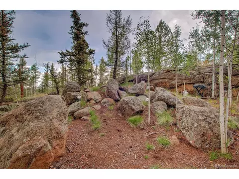 60 Kiua Ln, Como, CO 80432 photo 22