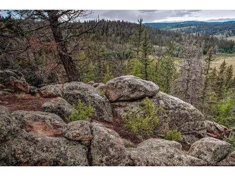 60 Kiua Ln, Como, CO 80432 photo 30