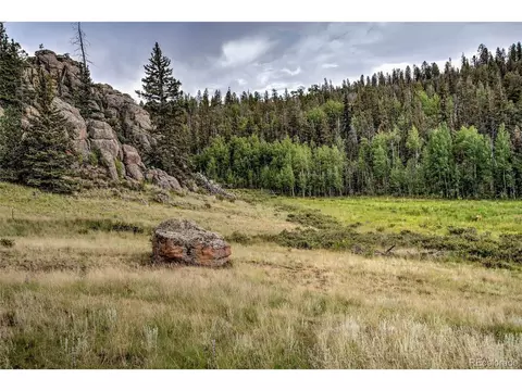 60 Kiua Ln, Como, CO 80432 photo 25