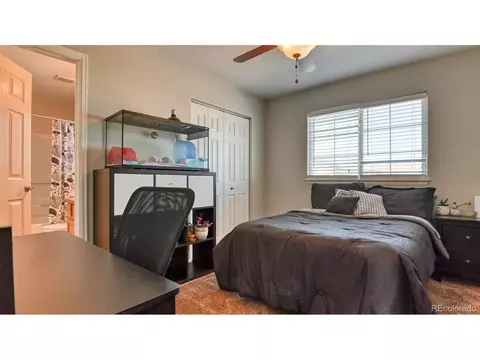 9488 Portmarnock Ct, Peyton, CO 80831 photo 23