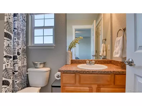 9488 Portmarnock Ct, Peyton, CO 80831 photo 26