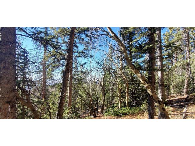 6572 Ackerman Rd, San Luis, CO 81152