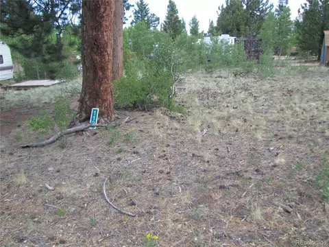 112 Lantern Loop, Hartsel, CO 80449 photo 1