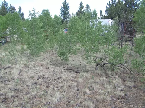 112 Lantern Loop, Hartsel, CO 80449 photo 8