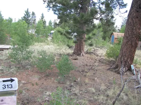 112 Lantern Loop, Hartsel, CO 80449 photo 5