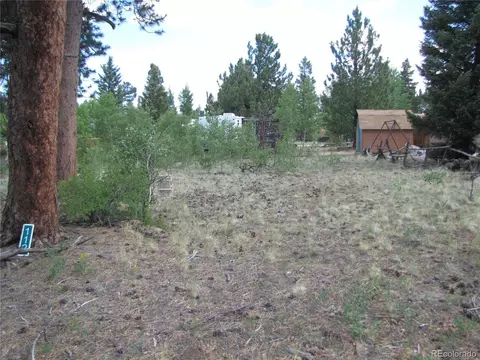 112 Lantern Loop, Hartsel, CO 80449 photo 2