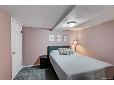 7661 S Steele St, Centennial, CO 80122 photo 21