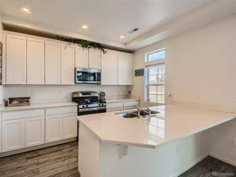 19041 E 55th Ave, Denver, CO 80249 photo 9