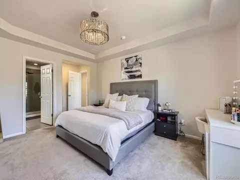 3508 E 140th Pl, Thornton, CO 80602 photo 19