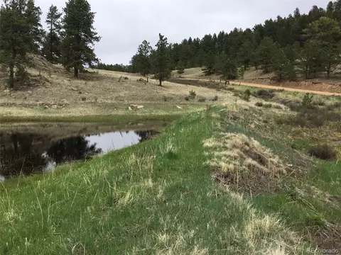 Undisclosed, Florissant, CO 80816