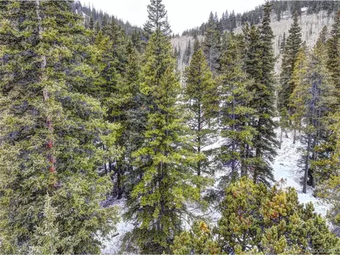 491 Mine Dump Rd, Alma, CO 80420