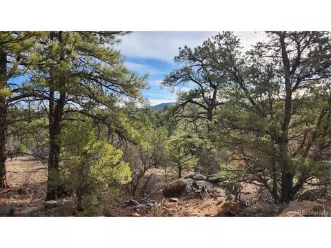 7 Th Trl, Cotopaxi, CO 81223 photo 5