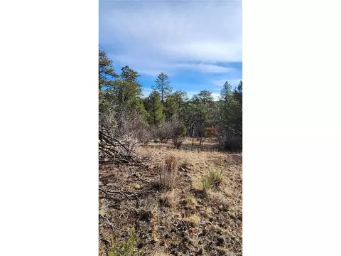 7 Th Trl, Cotopaxi, CO 81223 photo 34