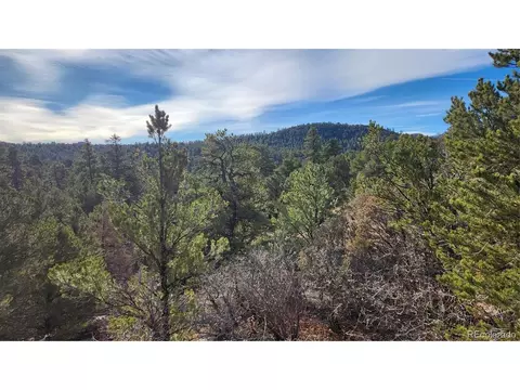 7 Th Trl, Cotopaxi, CO 81223 photo 19