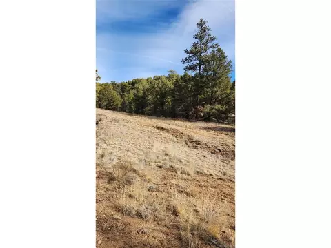 7 Th Trl, Cotopaxi, CO 81223 photo 17