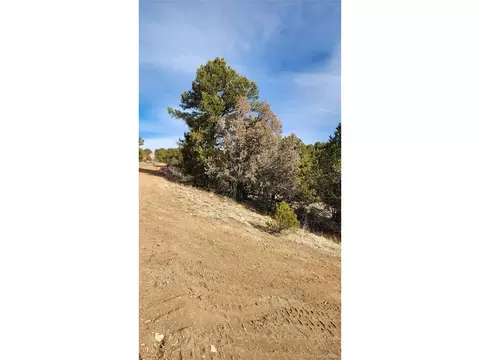7 Th Trl, Cotopaxi, CO 81223 photo 30