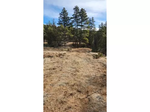 7 Th Trl, Cotopaxi, CO 81223 photo 8