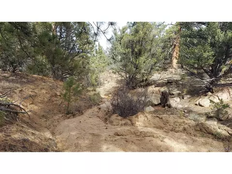 7 Th Trl, Cotopaxi, CO 81223 photo 38