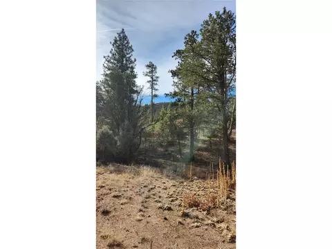 7 Th Trl, Cotopaxi, CO 81223 photo 26
