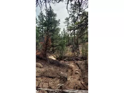 7 Th Trl, Cotopaxi, CO 81223 photo 39