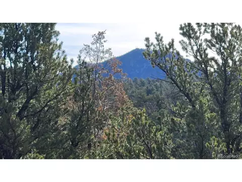 7 Th Trl, Cotopaxi, CO 81223 photo 33