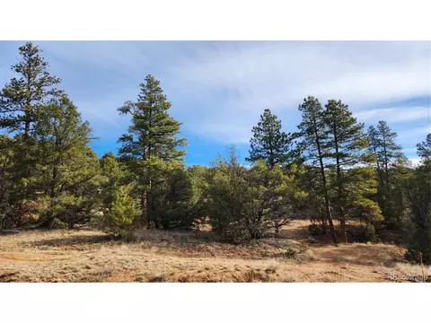 7 Th Trl, Cotopaxi, CO 81223 photo 3