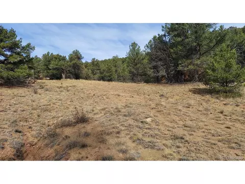 7 Th Trl, Cotopaxi, CO 81223 photo 22