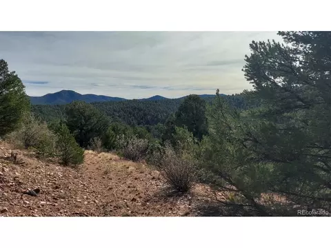 7 Th Trl, Cotopaxi, CO 81223 photo 40