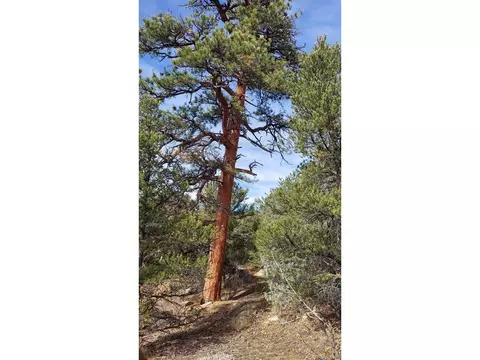 7 Th Trl, Cotopaxi, CO 81223 photo 4