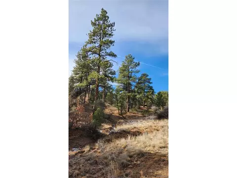 7 Th Trl, Cotopaxi, CO 81223 photo 29