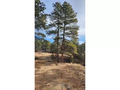 7 Th Trl, Cotopaxi, CO 81223 photo 23