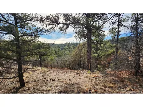 7 Th Trl, Cotopaxi, CO 81223 photo 7