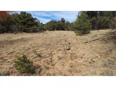 7 Th Trl, Cotopaxi, CO 81223 photo 47