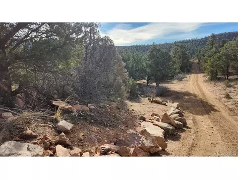 7 Th Trl, Cotopaxi, CO 81223 photo 6