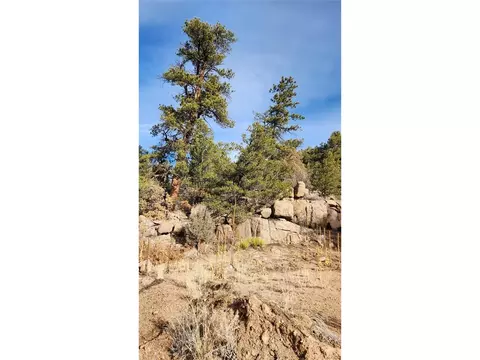 7 Th Trl, Cotopaxi, CO 81223 photo 25