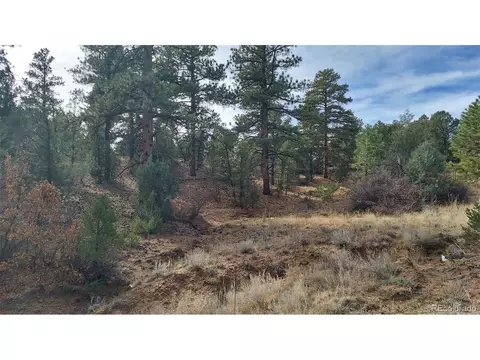 7 Th Trl, Cotopaxi, CO 81223 photo 49