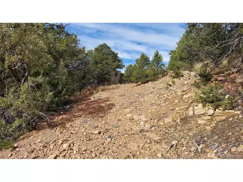 7 Th Trl, Cotopaxi, CO 81223 photo 41