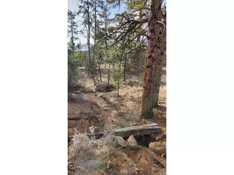 7 Th Trl, Cotopaxi, CO 81223 photo 10