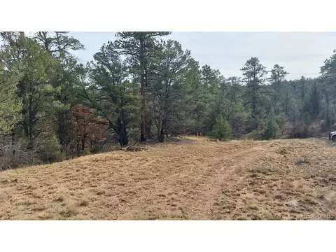 7 Th Trl, Cotopaxi, CO 81223 photo 48